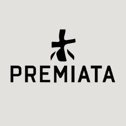 Бренд итальянской обуви Premiata: альтернатива Nike и Adidas?