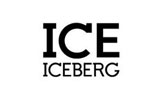 Iceberg